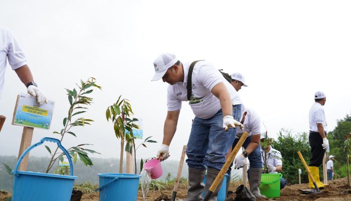 Peringati HMPI 2025, PLN Grup Jawa Timur Tanam 10.000 Bibit Pohon Konservasi