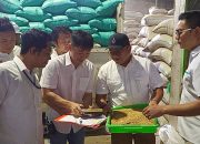 BULOG Jatim Lampaui Target Serapan Gabah Petani di Awal 2026