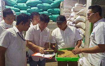 BULOG Jatim Lampaui Target Serapan Gabah Petani di Awal 2026