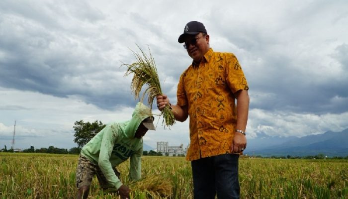 Cetak Rekor Sejarah! Serapan Beras Bulog Jatim Tembus 200 Ribu Ton di Februari 2026