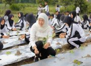 Pembatasan Gadget di Sekolah Jatim Resmi Berlaku demi Kualitas Belajar